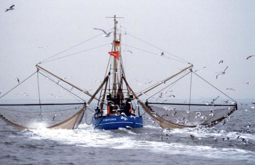 Altstadtflair Apartment - Foto 11