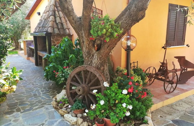 B&B Nuraghe Bianco - Foto 23
