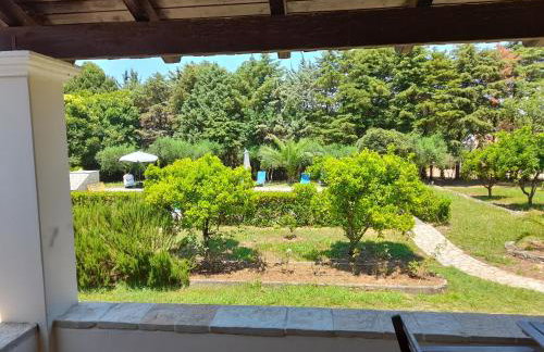 Lemontree Apartments - Foto 7