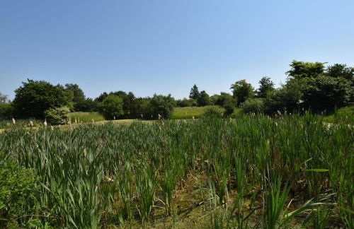 Ferienwohnung Im Heumond in Buschhagen - Foto 67