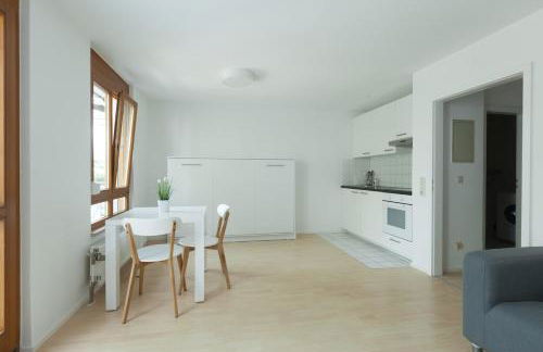 Lovely 1 room apartment near Basel - Foto 14
