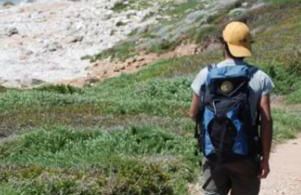 Windsurf Beach Front - Photo 25