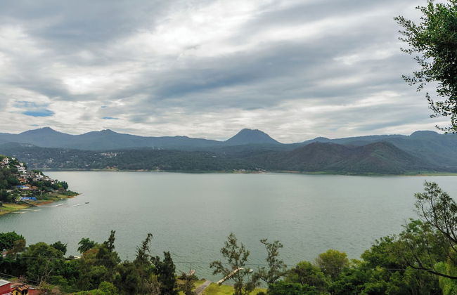 Las Abejas - Foto 63