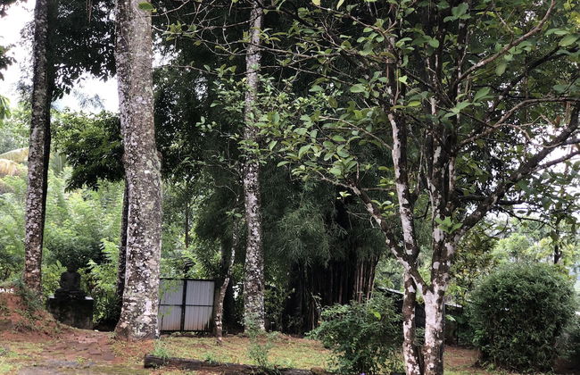 Captain's Bungalow - Foto 43