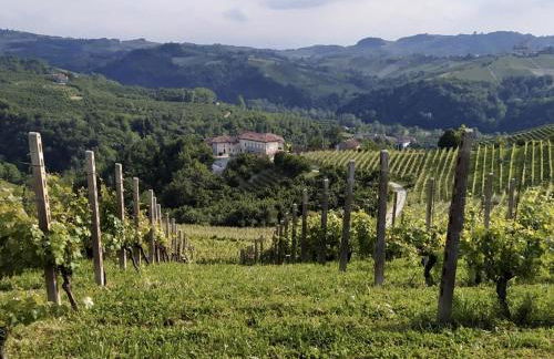 Madama Langa Country House con piscina nelle vigne - Foto 48