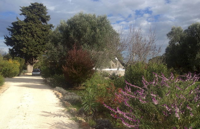 Trulli Mimosa by Pugliadamare - Foto 39