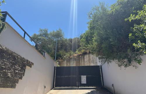 La Pareina - Foto 21