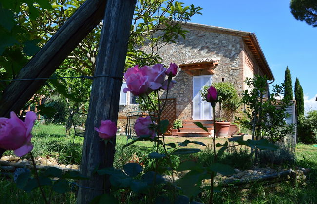 Podere San Quirico - Foto 2