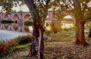 A los Ojos del Río Duero - Foto 68