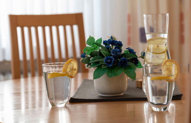 Deichblick - Foto 13