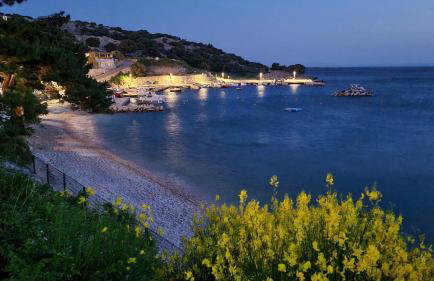 STUDIO APARTMAN STARA BAŠKA - Foto 39