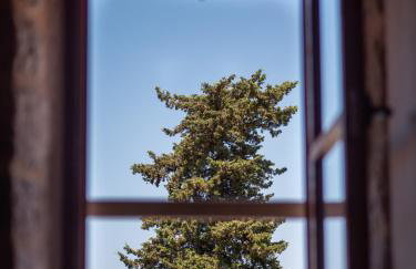 Dvor Pitve Villas - Photo 24