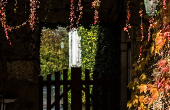 Quinta da Roseira - Foto 34