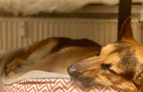 194 Fewo Dat LütjeHuus mit Dachterrasse im ersten Stock - Foto 15