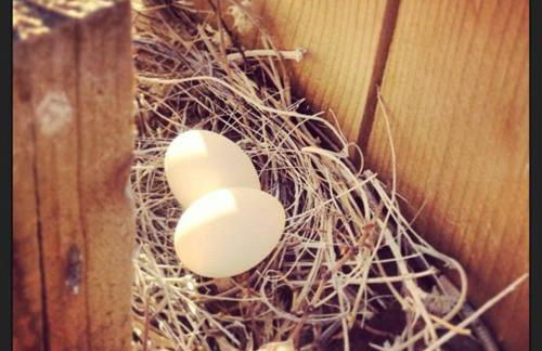 Cozy desert retreat with amazing views only 4 miles to JTNP - Foto 60