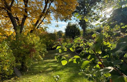 Ferienloft A15 im Atelier Bauer - Foto 10