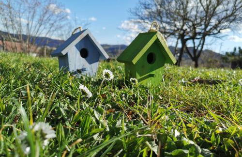 Agriturismo Mondo - Foto 29