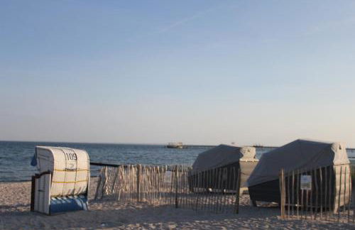 Silbermöwe im Kirschgarten - Foto 28