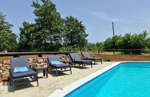 SPA HOLIDAY HOUSE REŽEK - Lovinac - Foto 6