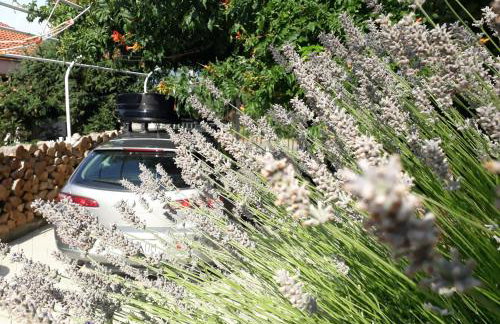 Va Kastav - Photo 26