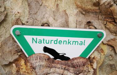 Ferienwohnung in Waldrandlage in Nationalpark Schleiden / Eifel - Foto 65