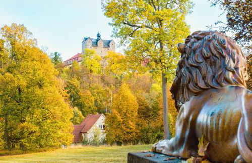Ferienwohnung Bella - mit Waschmaschine, Fahrstuhl und Carport in ruhiger Altstadtlage von Ballenstedt - Foto 35