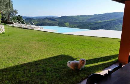 Villa Greco - Foto 18