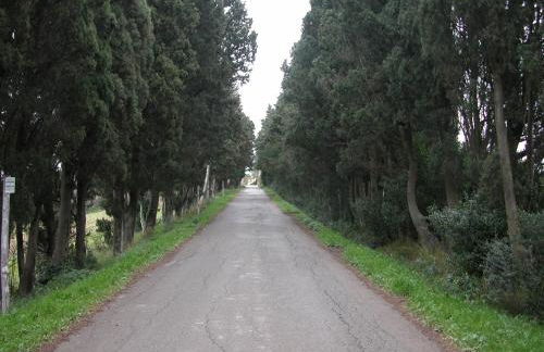 Mulino a vento - Foto 46