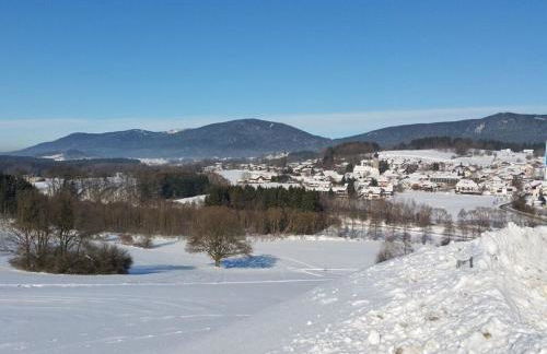 Waldhaus Sonnenberg Apartment 1 - Foto 38