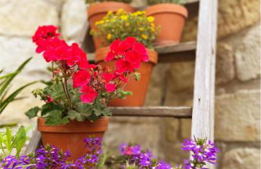 Landhaus Porschdorf - Foto 4