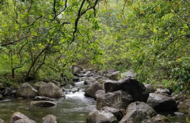 Puu Poa Ocean Bluff Condo, Incredible Views, Walk to Beaches, Pool & Tennis - Foto 55