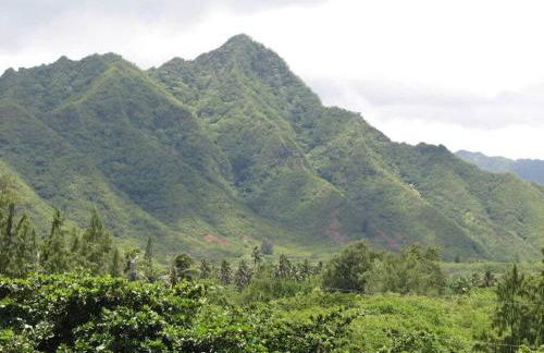 Luxurious Beachfront Condo - Foto 54