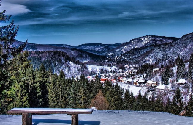 Holiday Home Mountain View - Foto 18