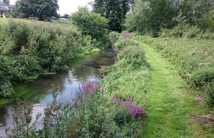 River View Cottage - Foto 23