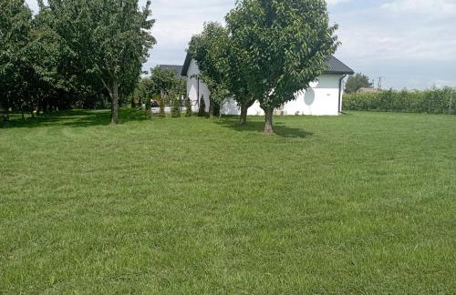 Domki w Winnicy - Świętokrzyska Winnica Knapów - Foto 1