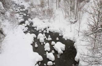 Mira Moleta bienvenidos a Canfranc - Photo 25
