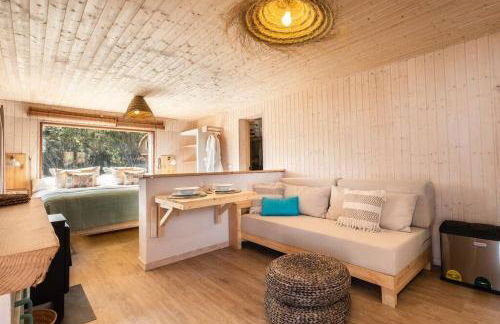 El Pino Centenario 3 - Foto 15