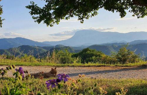 Casa Flori & Leonardo's Country House - Foto 33