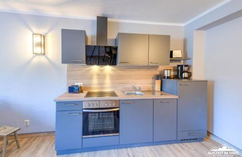 Auszeit-im-Harz Haus 5 Wohnung 23 - Foto 3