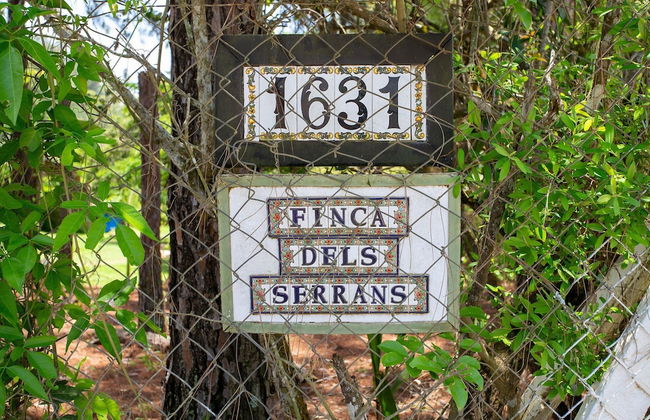 Sítio Dels Serrans - Jacareí - Photo 73