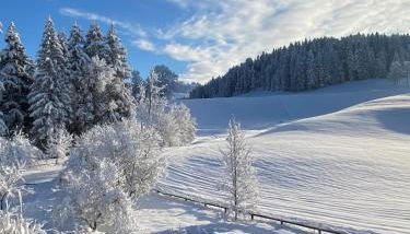 Appartamento Mariuccia - Foto 2