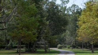 Cypress Landing - Foto 4