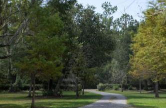 Cypress Landing - Foto 4