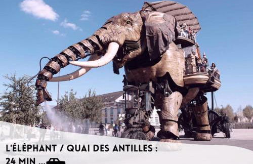 Le Joséphine - Foto 10