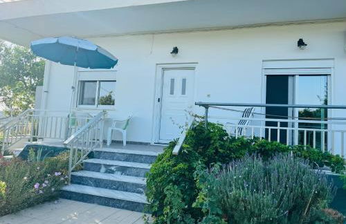 Lemon tree's house - Foto 27