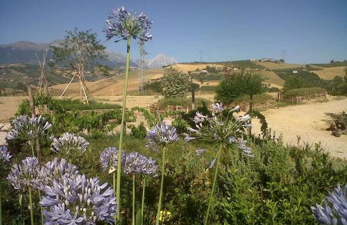 Agriturismo Cignale della Società Agricola Cignale srl - Photo 60