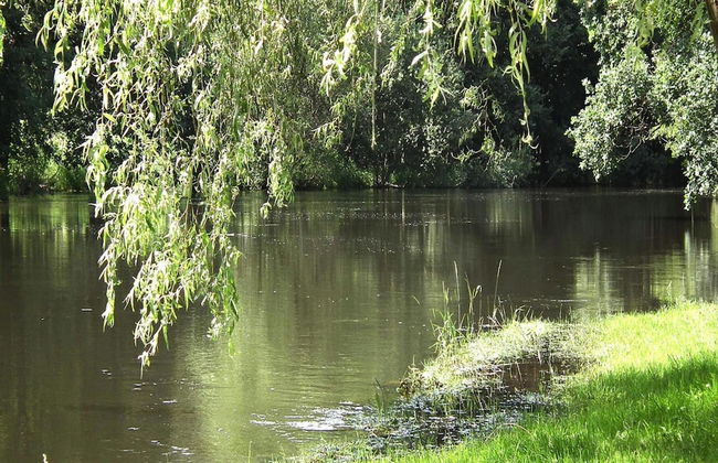Ferienhaus Spreeidyll, Schlepzig - Foto 14