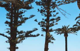 Atico Duplex Primera Linea - Foto 25