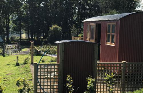 Severn- Luxury hut - Foto 11