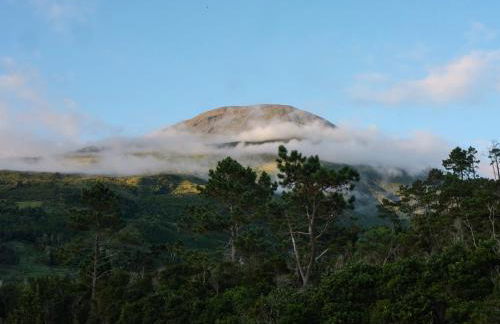Casas do Amarelo - Photo 19